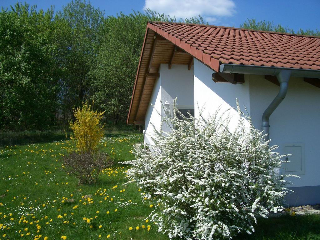 Detached Single-Storey Bungalow With Terrace Villa Услар Екстериор снимка